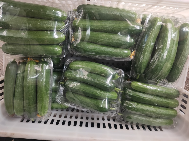 水果黄瓜