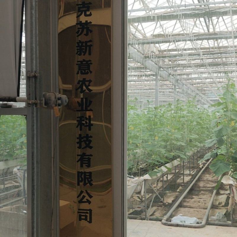 水果黄瓜