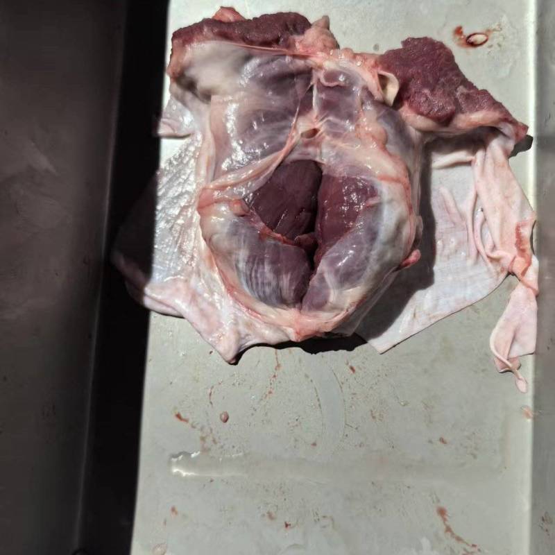 纯干护心肉心，小肉