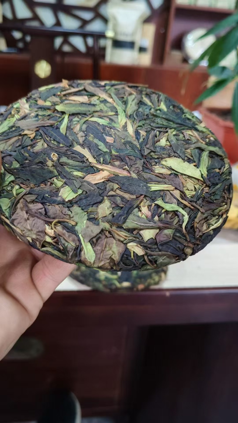 【热卖推荐】云南云丝绿茶源头产地直销欢迎进店咨询