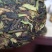 【热卖推荐】云南云丝绿茶源头产地直销欢迎进店咨询