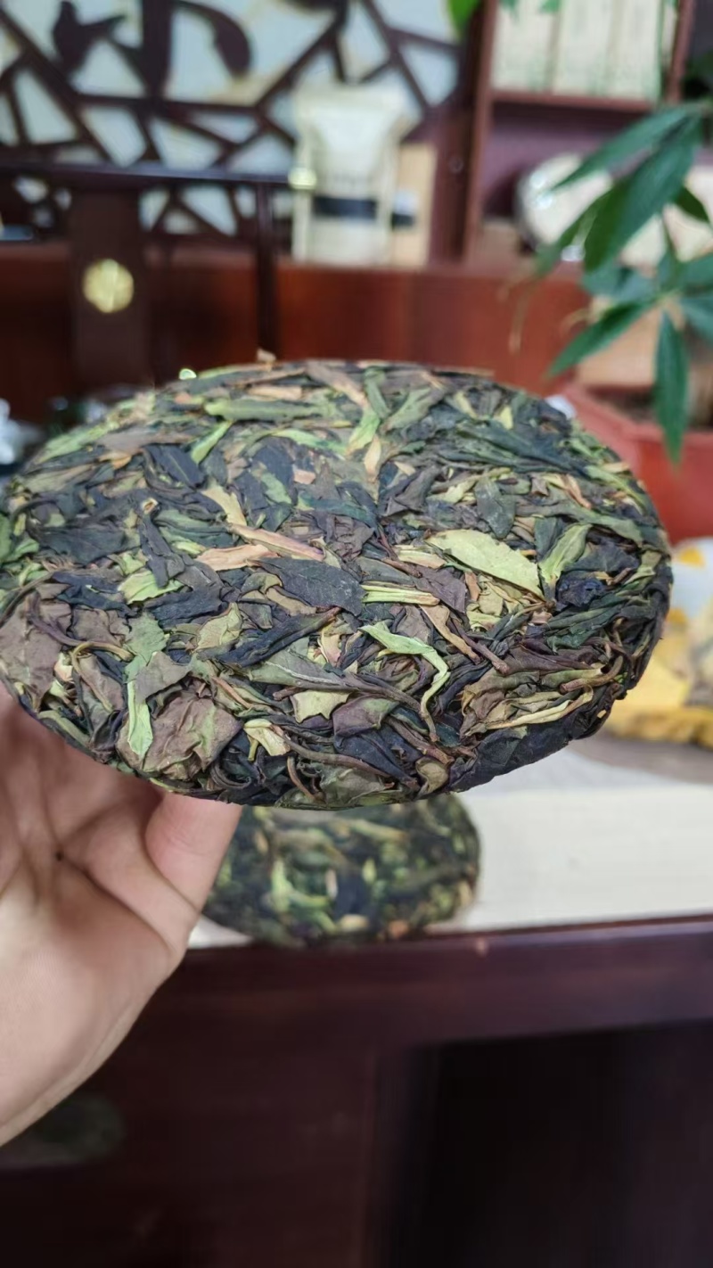 【热卖推荐】云南云丝绿茶源头产地直销欢迎进店咨询