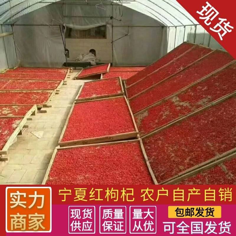 《红枸杞》宁夏红枸杞/农户自产自销/个头大自然晾晒无杂