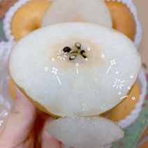 丰水梨产地直发，个头适中，糖分高，欢迎各位客商前来采购