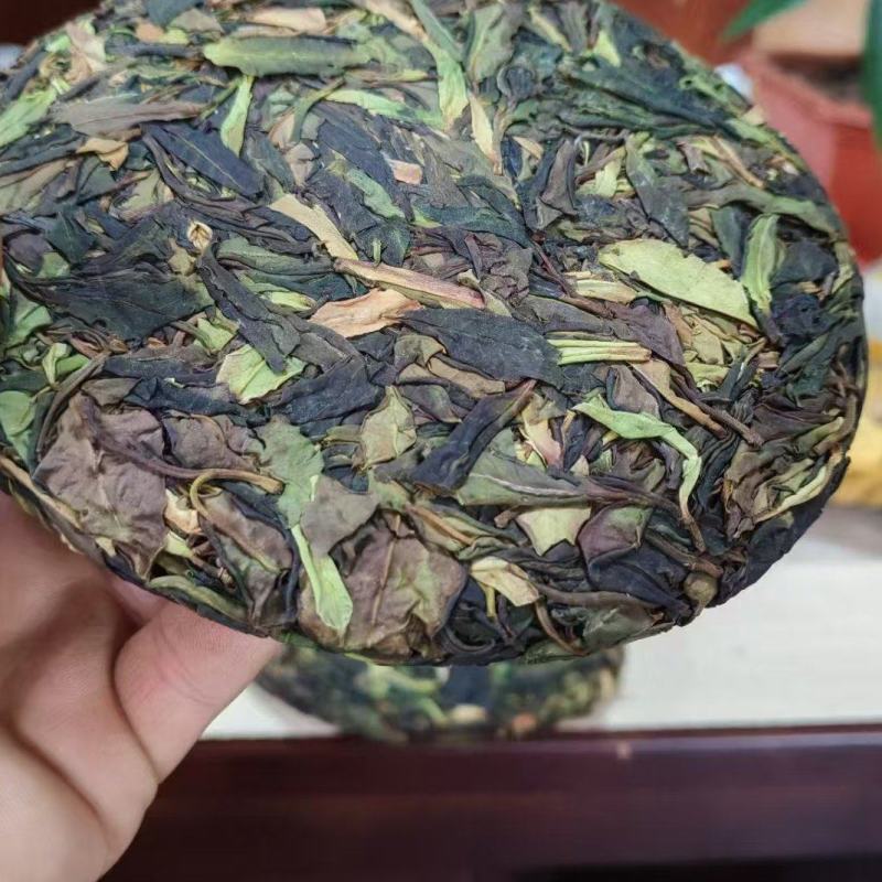 【热卖推荐】云南云丝绿茶源头产地直销欢迎进店咨询