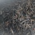 【热卖推荐】云南古树红茶产地直发可视频看货线上下单