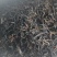 【热卖推荐】云南古树红茶产地直发可视频看货线上下单