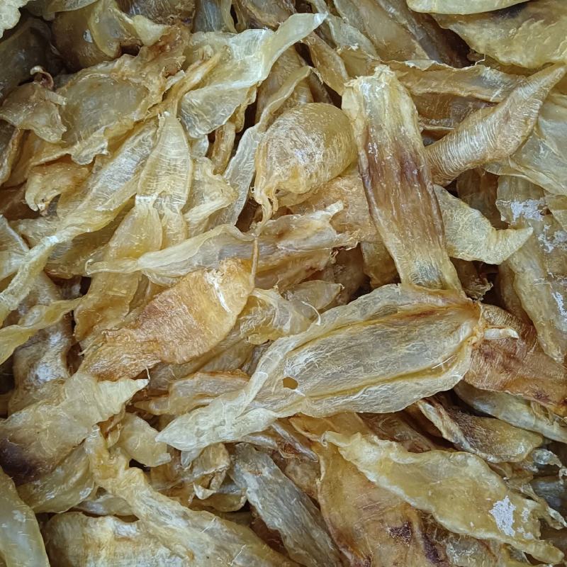 北海胶北海筒胶鱼胶花胶鳘鱼胶产地源头直供一手代理货源