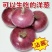 周口精品洋葱紫皮红皮量大质优品质保证全国可发欢迎来电咨询