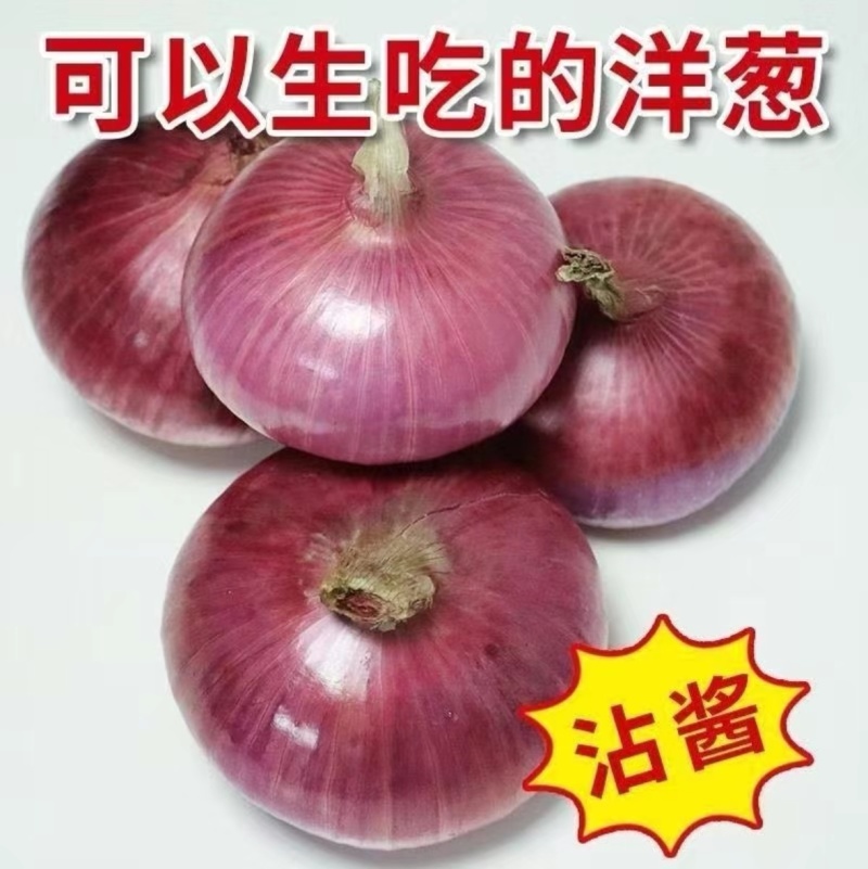 周口精品洋葱紫皮红皮量大质优品质保证全国可发欢迎来电咨询