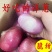 周口精品洋葱紫皮红皮量大质优品质保证全国可发欢迎来电咨询