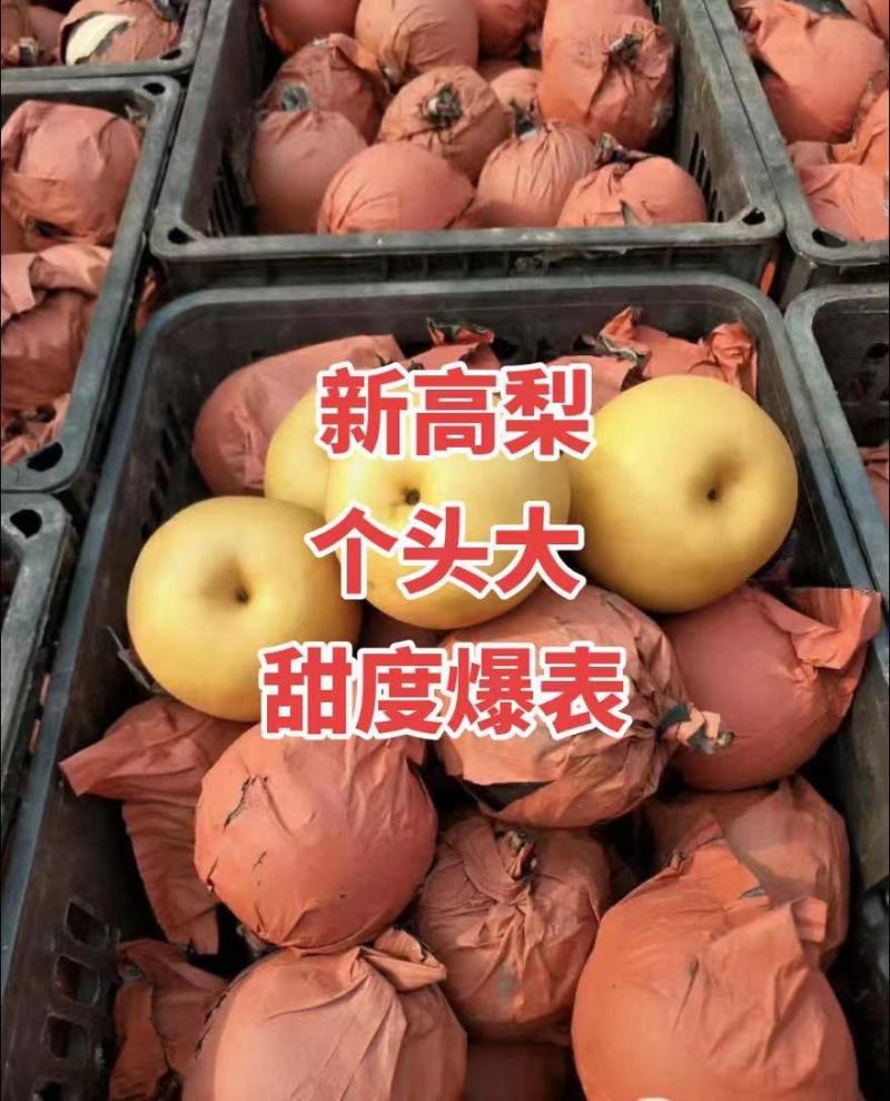 徐州新高梨产地直销地头发货可视频看货