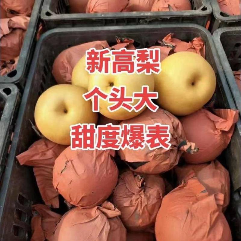 徐州新高梨产地直销地头发货可视频看货