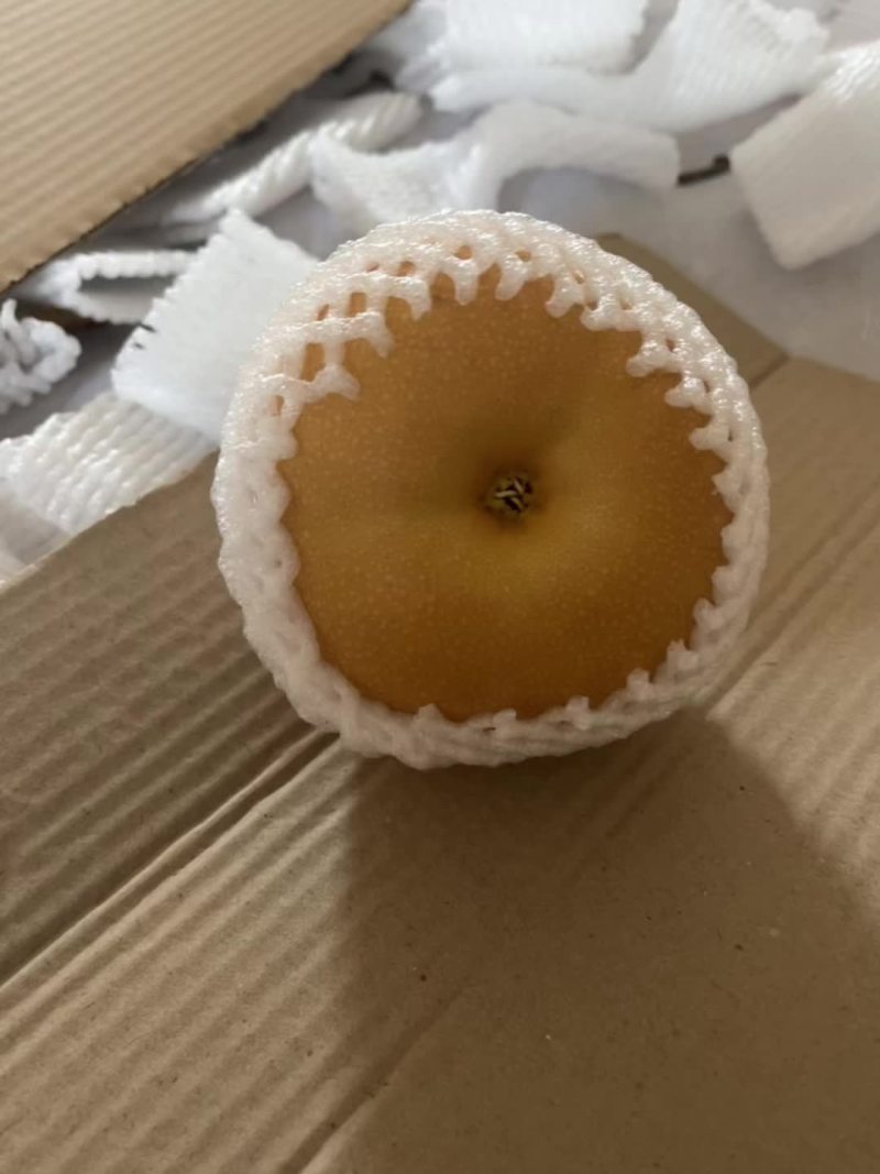 新高梨，徐州产地直发，糖分高，欢迎各位老板实地莅临考察