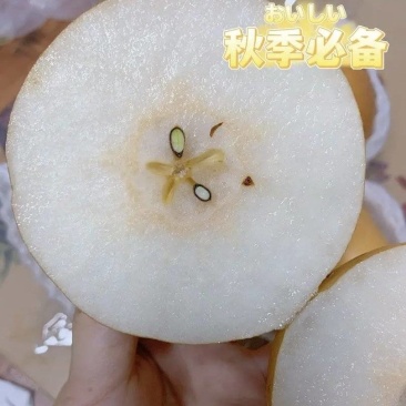 新高梨,徐州产地直发,糖分高,欢迎各位老板实地莅临考察