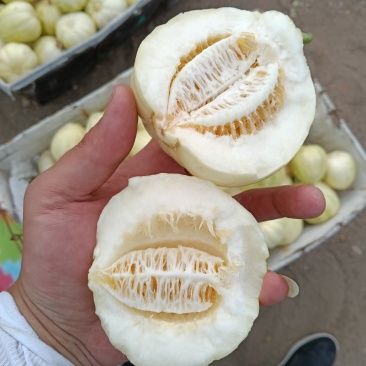东北香瓜甜瓜西瓜***********
