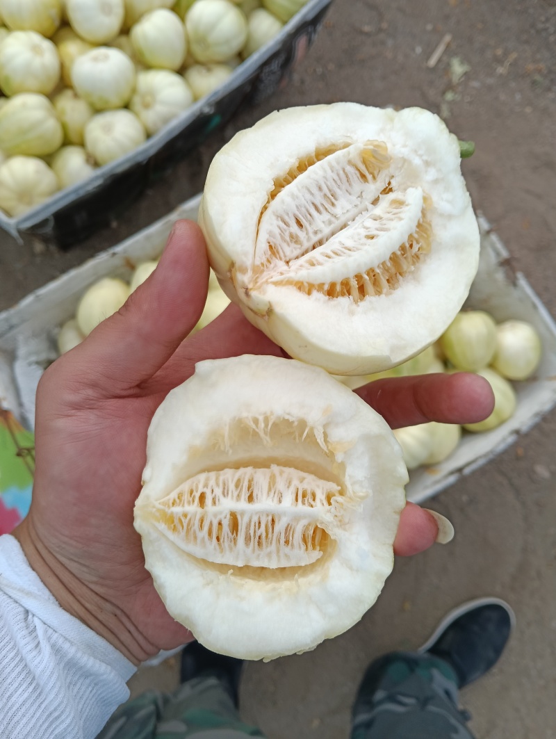 东北香瓜甜瓜西瓜***********