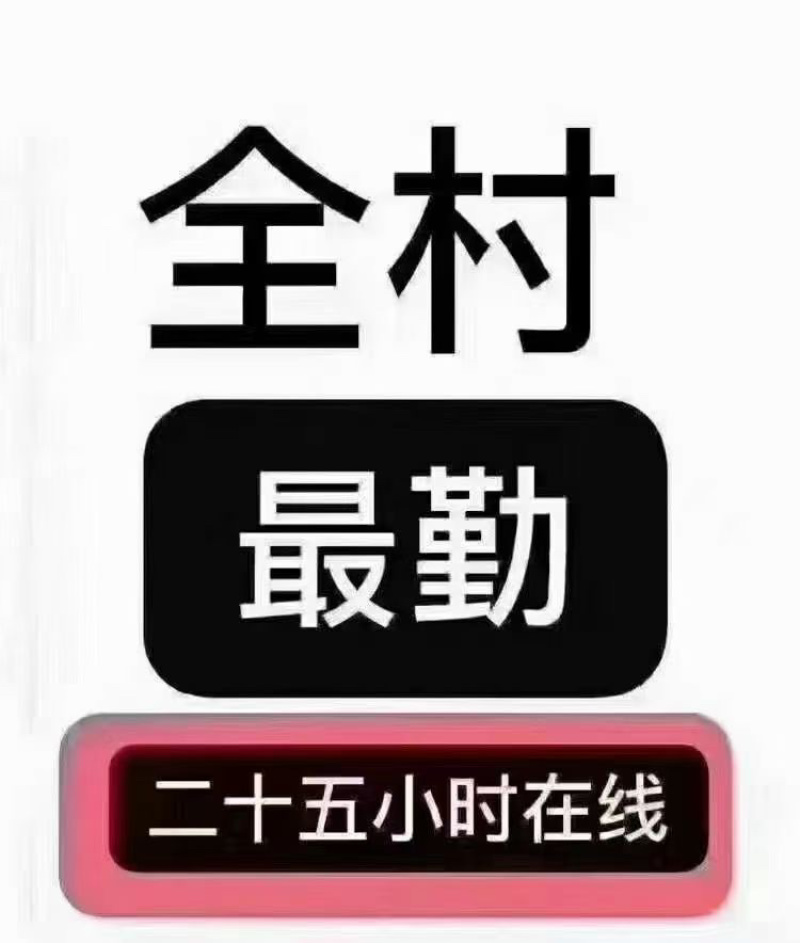 冰淇淋白柿种子基地直供可视频看货冰淇淋白柿
