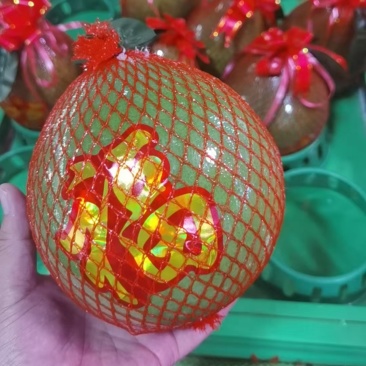 拜神柚非食用现摘青皮拜神柚产地直供可预定包装生产