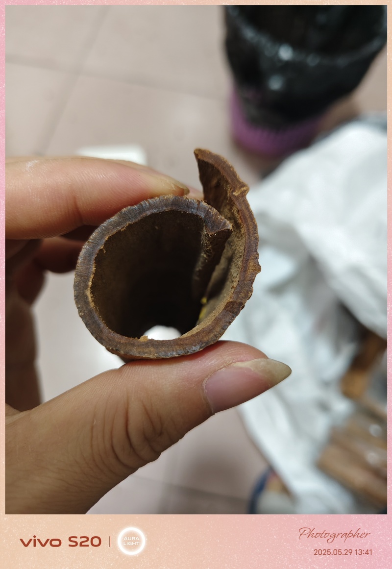 越南高山紫油桂，质量保证，干净，黄亮