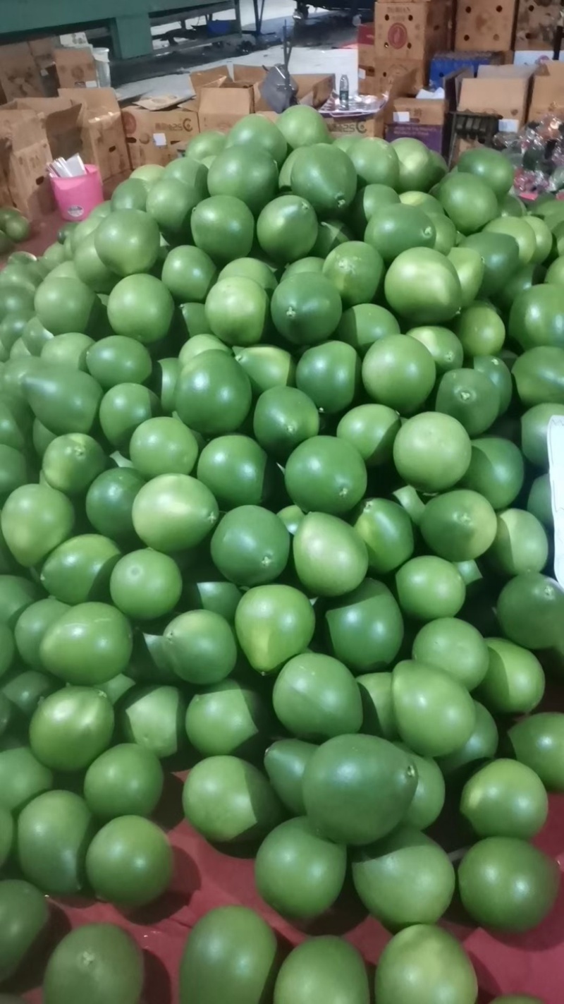 拜神柚非食用现摘青皮拜神柚产地直供可预定包装生产
