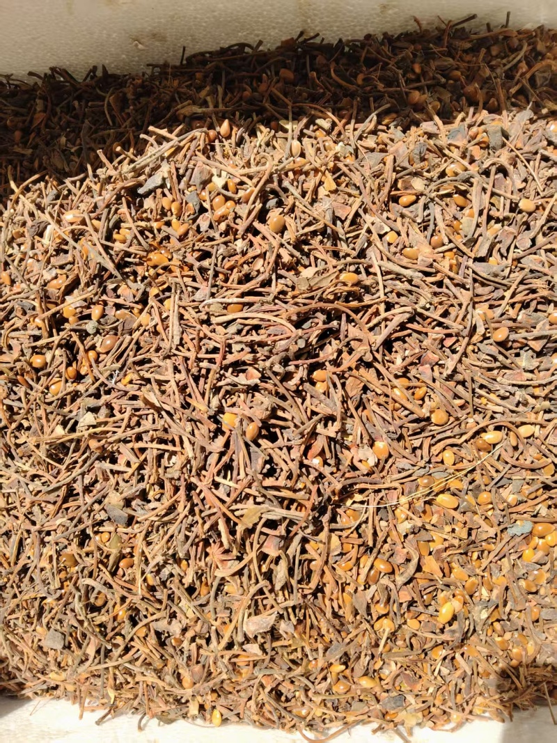 广西香料八角米八角子产地值供