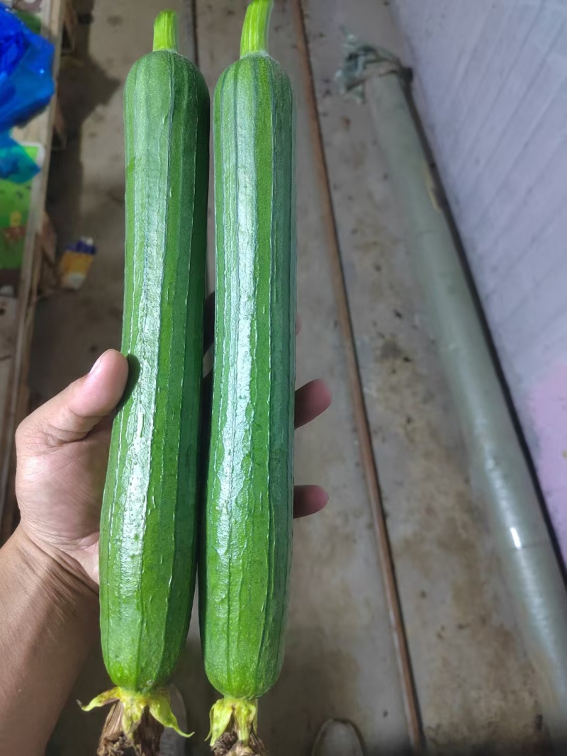 保质保量，童叟无欺。