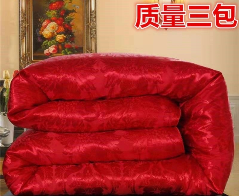 正品专柜蚕丝被100%桑蚕丝加厚冬被秋冬被夏凉被二合一婚庆子