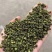 新青麻，量大从优，二十多年的批发市场，质量有保证～～