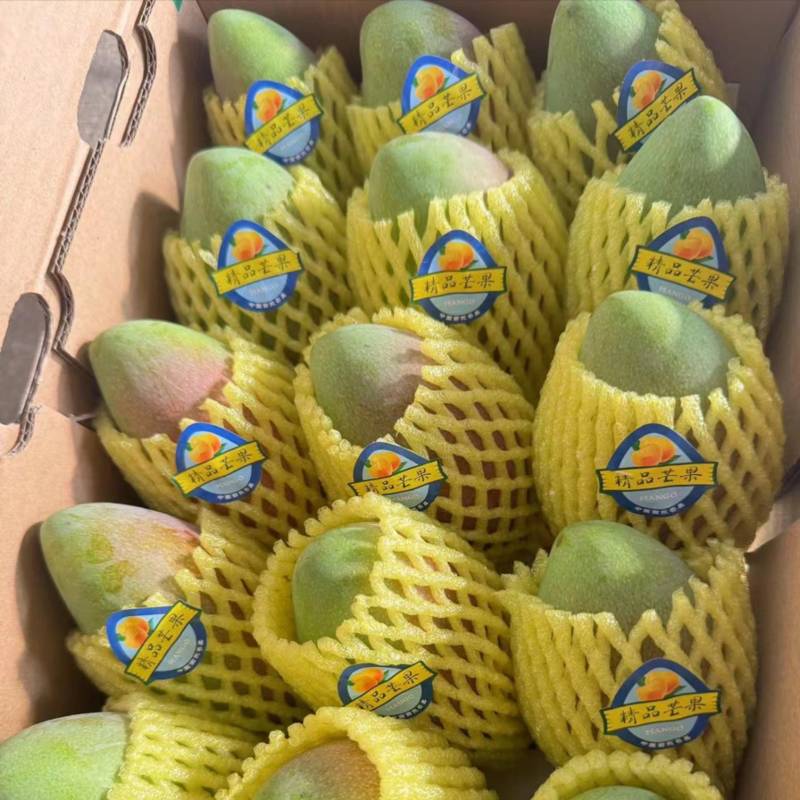 贵妃芒落地配