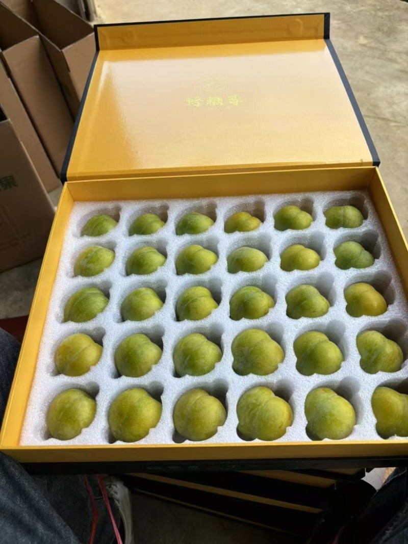 贵州蜂糖李，青脆李，大量上市，承接一件代发，代收。