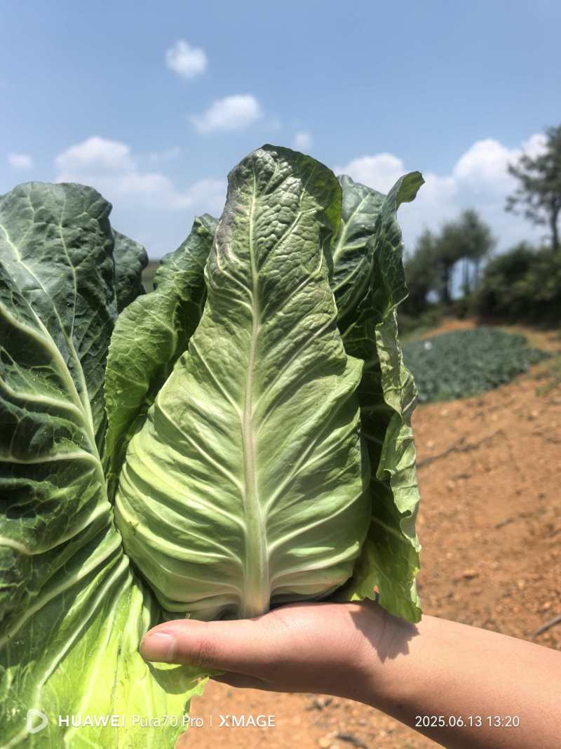 价格美丽