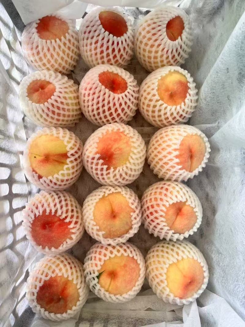 松森水蜜桃