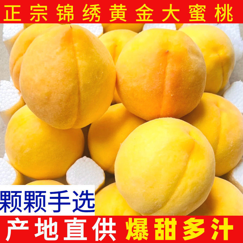 蒙阴黄毛桃黄油桃各种桃仅支持一件代发不带收货