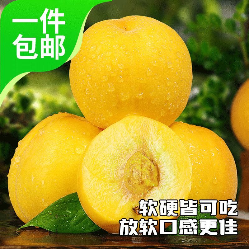 蒙阴黄毛桃黄油桃各种桃仅支持一件代发不带收货