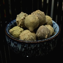 没食子/没石子/末石子