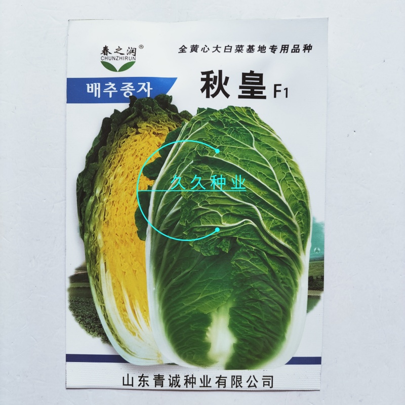 秋皇夏秋大白菜种子高产抗病耐热种孑全黄心大白菜菜籽