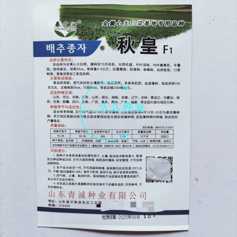秋皇夏秋大白菜种子高产抗病耐热种孑全黄心大白菜菜籽