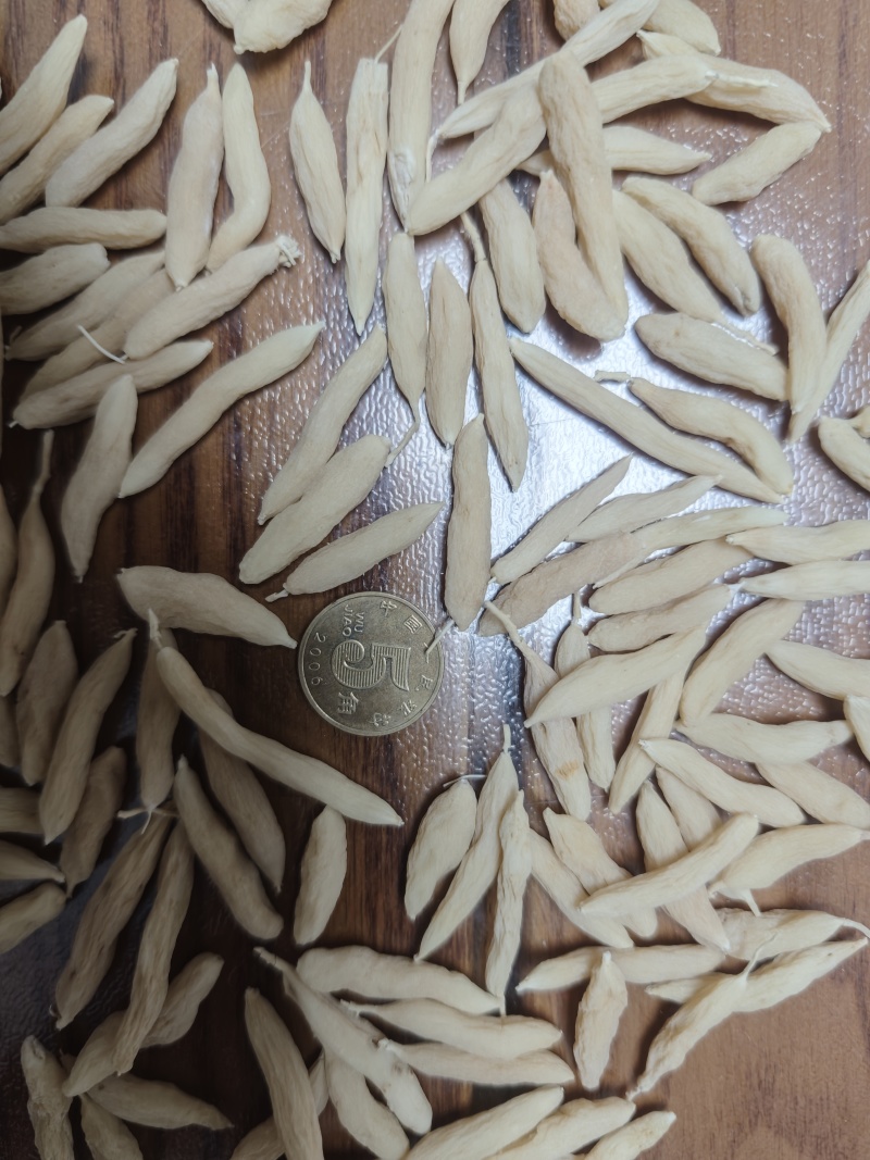 充足麦冬一手货源24小时在线服务保障