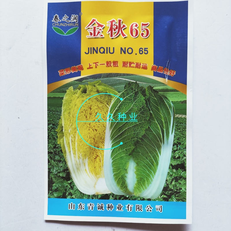 金秋65黄心白菜种子早熟口感鲜美高产抗病耐寒黄芯秋播