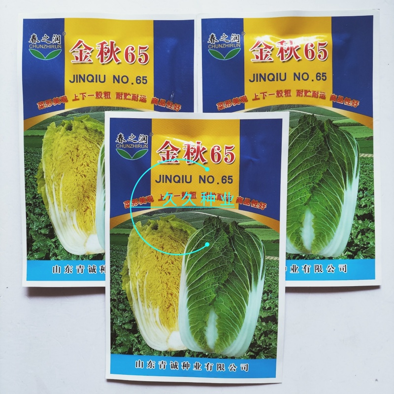 金秋65黄心白菜种子早熟口感鲜美高产抗病耐寒黄芯秋播