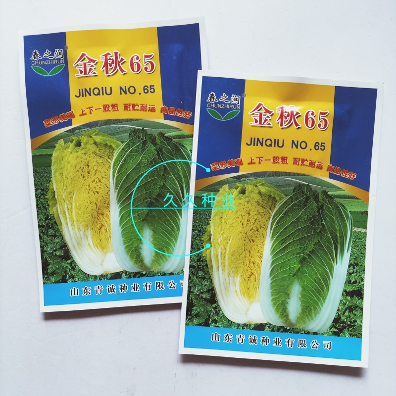 金秋65黄心白菜种子早熟口感鲜美高产抗病耐寒黄芯秋播