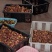 2025精品野生菌红葱红见手精品小骨朵新鲜采摘的美味牛肝