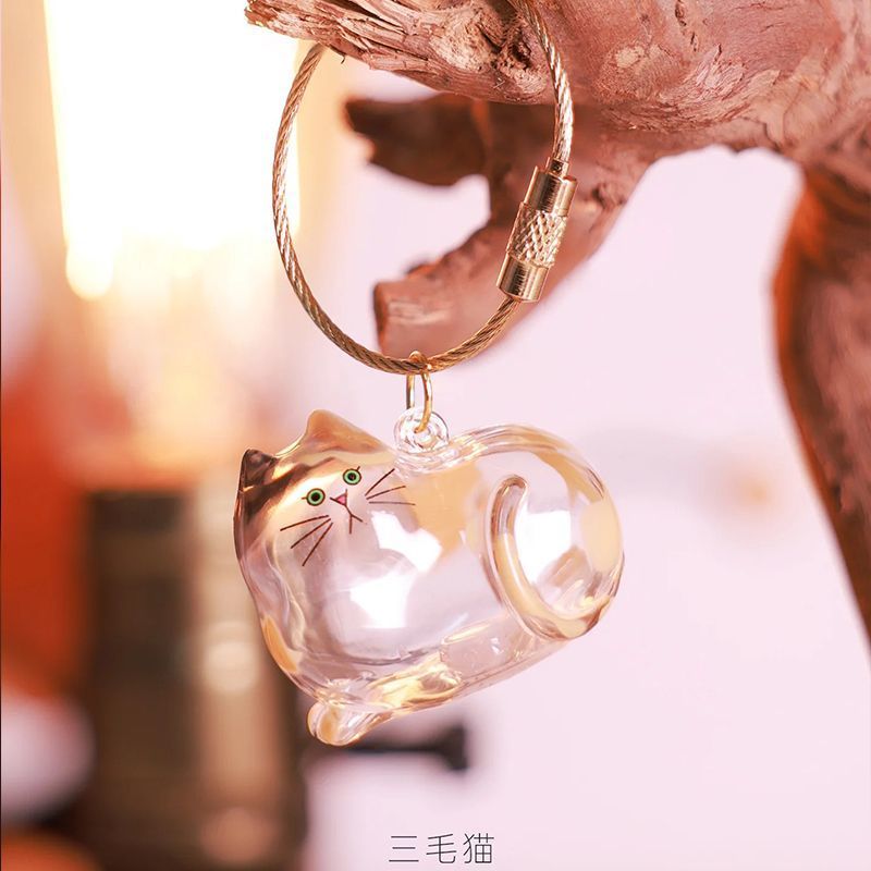透明猫毛收纳盒收藏扭蛋猫咪毛发存放吊饰胶囊扭蛋包钥匙扣挂件