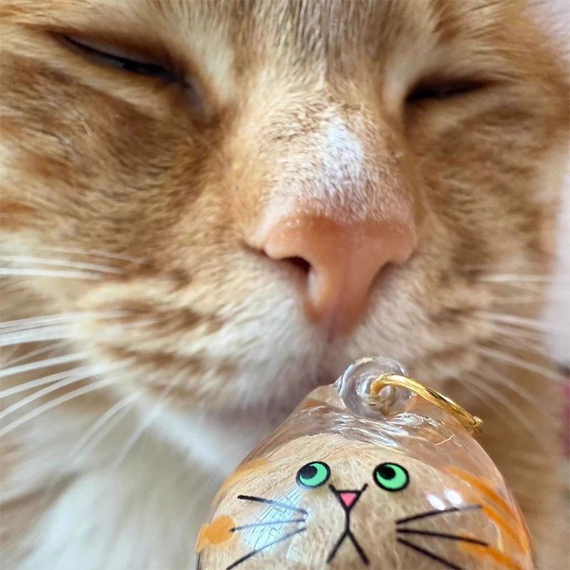 透明猫毛收纳盒收藏扭蛋猫咪毛发存放吊饰胶囊扭蛋包钥匙扣挂件
