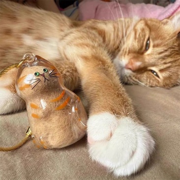 透明猫毛收纳盒收藏扭蛋猫咪毛发存放吊饰胶囊扭蛋包钥匙扣挂件