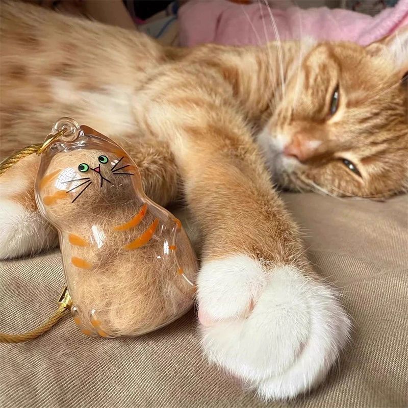 透明猫毛收纳盒收藏扭蛋猫咪毛发存放吊饰胶囊扭蛋包钥匙扣挂件