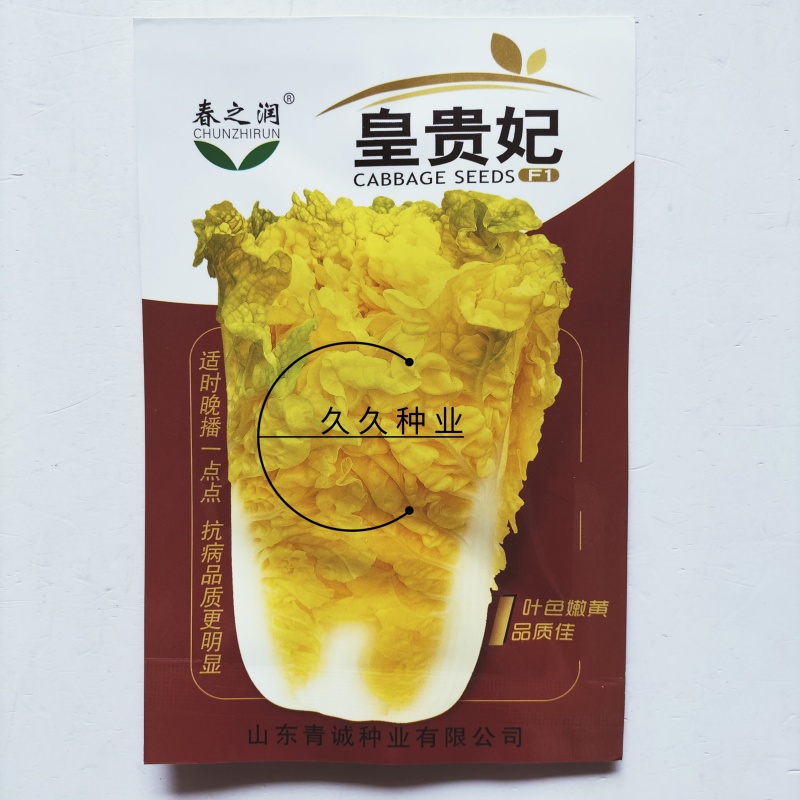 皇贵妃大白菜种子黄心白菜四季快菜好吃高产蔬菜种籽早熟耐寒