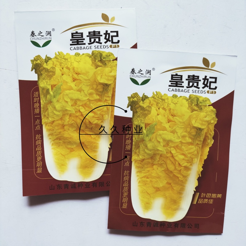皇贵妃大白菜种子黄心白菜四季快菜好吃高产蔬菜种籽早熟耐寒