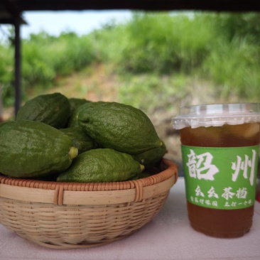 香水柠檬批发